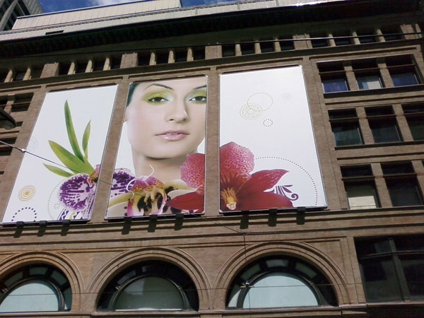 Click to view portfolio